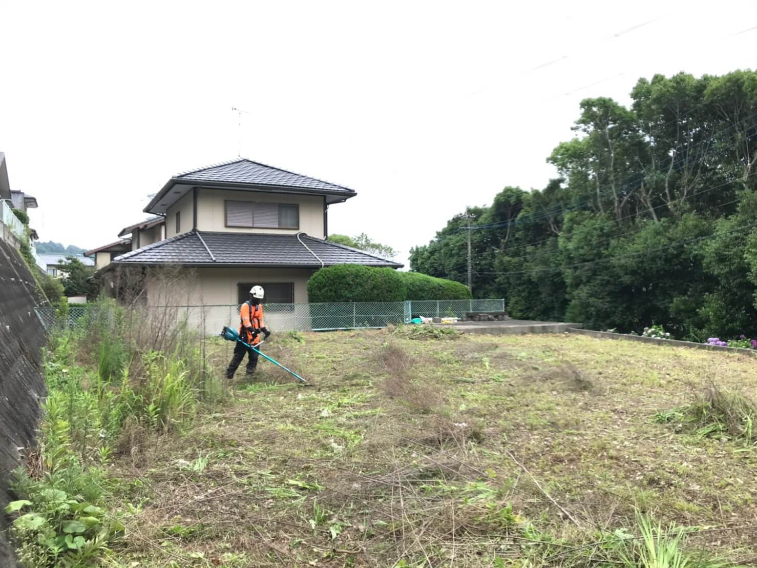 ただ闇雲に刈るのではなく刈った後も集草作業を行いやすいように作業を進めます